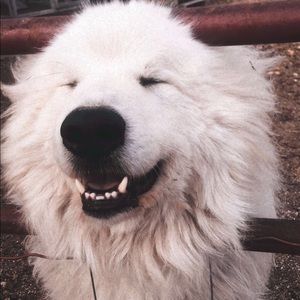 Meet your Posher, Jaimee